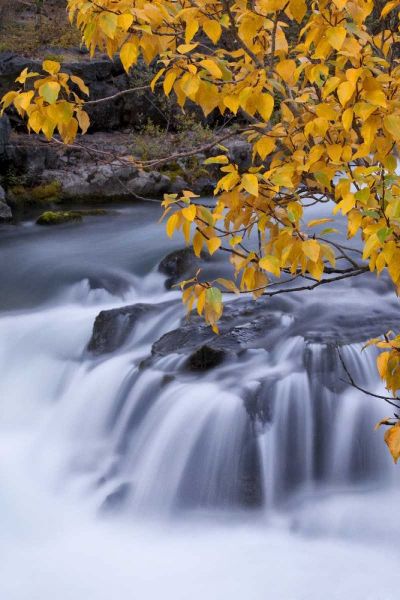 USA, Oregon Rogue River waterfalls in autumn